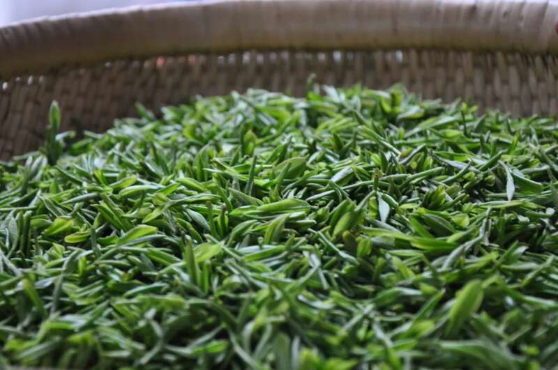春茶直播电商销售:策略创新与转化率提升的关键 想要直播间卖春茶爆单?deepseek这样说