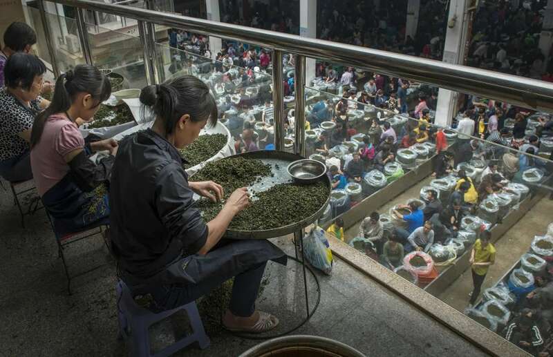 春茶直播电商销售:策略创新与转化率提升的关键 想要直播间卖春茶爆单?deepseek这样说