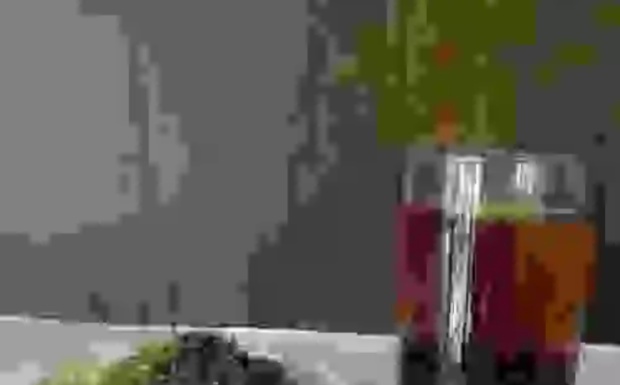 九曲红梅性凉还是性热.jpg 九曲红梅性凉还是性热.jpg