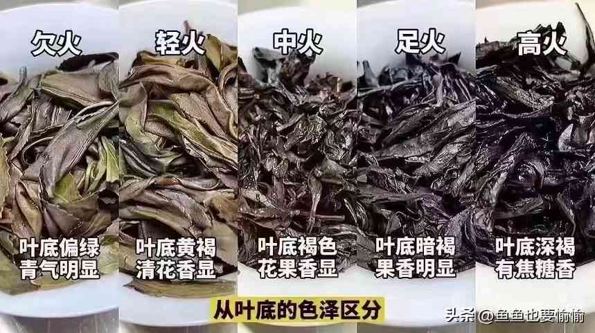 武夷岩茶品鉴术语全解析 武夷岩茶品鉴术语全解析