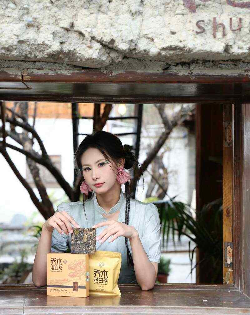 春日饮用白茶,自然工艺与体感调和之道 下关乔木老白茶 风起春意,适饮白茶