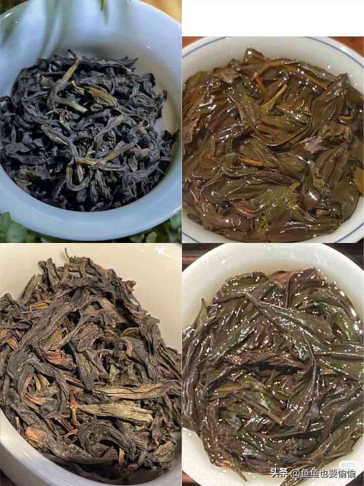武夷岩茶品鉴术语全解析 武夷岩茶品鉴术语全解析