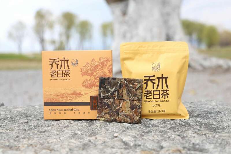 春日饮用白茶,自然工艺与体感调和之道 下关乔木老白茶 风起春意,适饮白茶