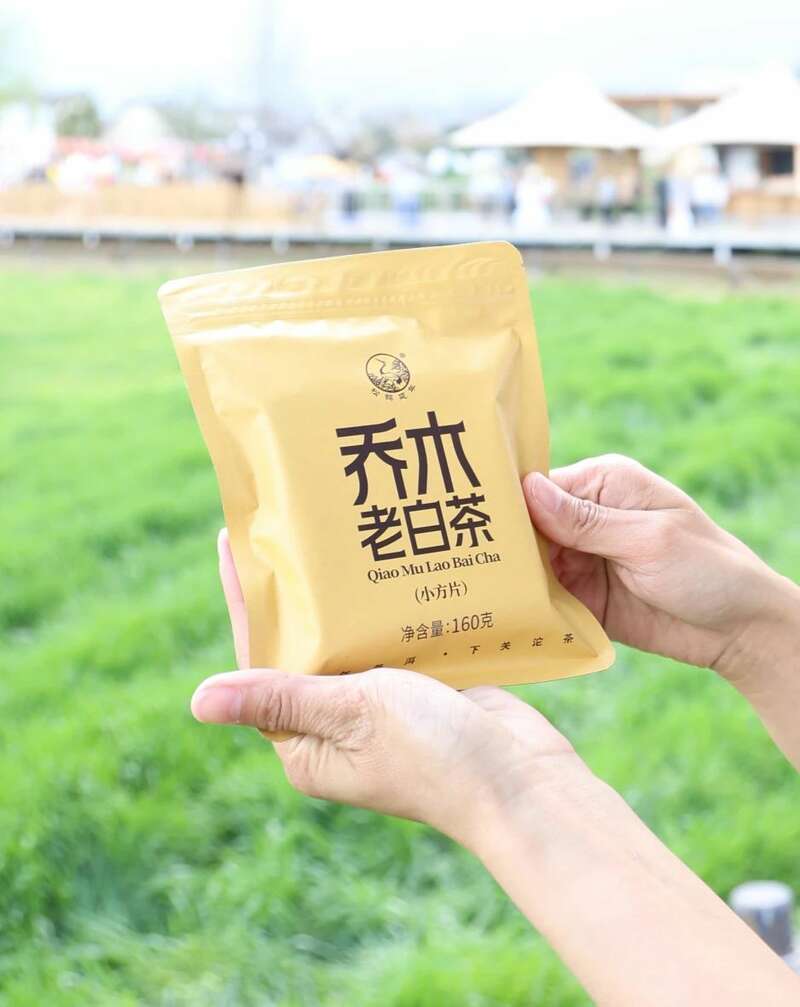 春日饮用白茶,自然工艺与体感调和之道 下关乔木老白茶 风起春意,适饮白茶
