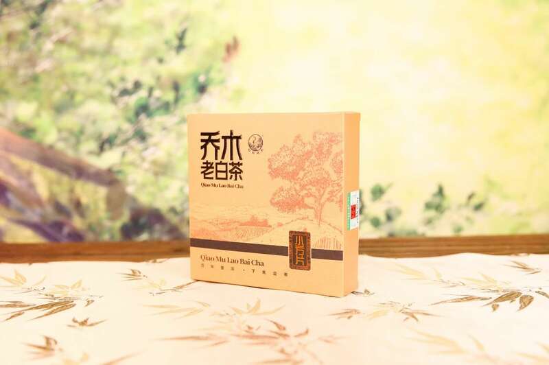 春日饮用白茶,自然工艺与体感调和之道 下关乔木老白茶 风起春意,适饮白茶