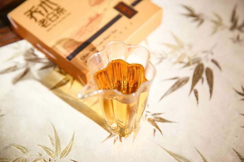 春日饮用白茶,自然工艺与体感调和之道 下关乔木老白茶 风起春意,适饮白茶