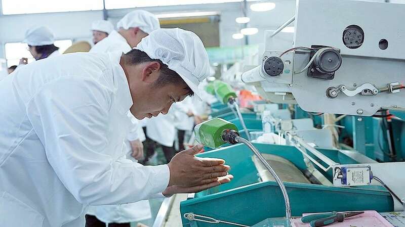 机制扁形绿茶技能大赛展现传统技艺与现代工艺融合 黔西南州第一届“晴隆绿茶杯”机制扁形绿茶技能大赛在沙子镇举行