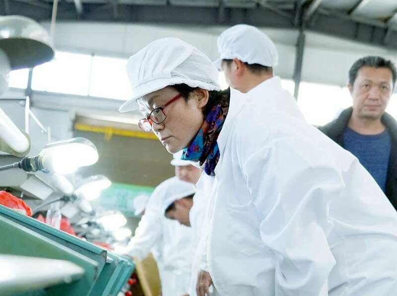 机制扁形绿茶技能大赛展现传统技艺与现代工艺融合 黔西南州第一届“晴隆绿茶杯”机制扁形绿茶技能大赛在沙子镇举行