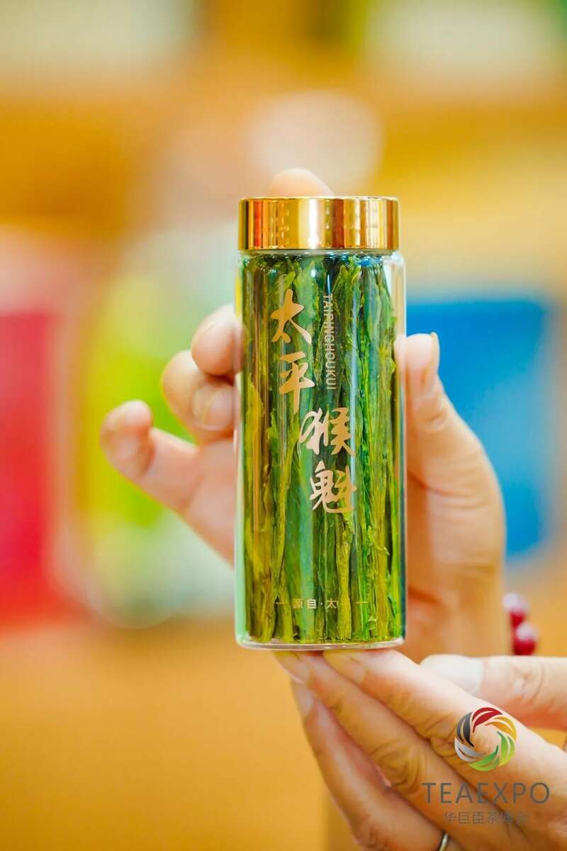 2025郑州茶博会:品牌集聚文化创新,茶业资源全面展示 火力全开!2025郑州茶产业博览会盛大开幕!