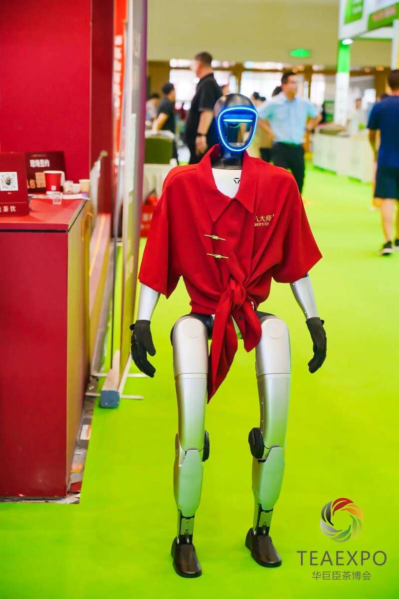2025郑州茶博会:品牌集聚文化创新,茶业资源全面展示 火力全开!2025郑州茶产业博览会盛大开幕!