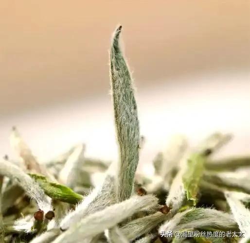茶类差异揭秘:科学存储技巧解析 茶类差异揭秘:科学存储技巧解析