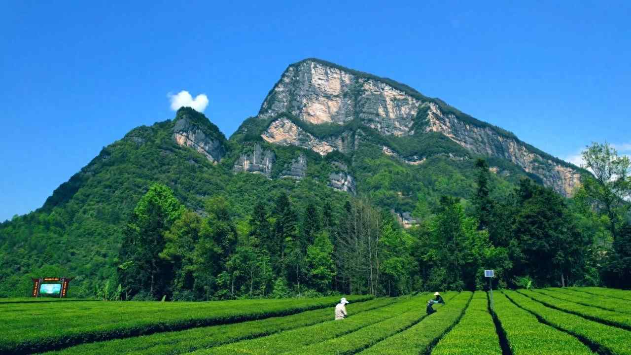 推进农业现代化提升质量效益科技、绿色、质量、品牌协同发展 推进农业现代化提升质量效益科技、绿色、质量、品牌协同发展