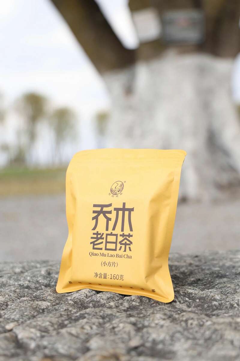 春日惬意时光 小方片白茶越陈越醇 下关乔木老白茶 白茶小方片,春日小甜甜