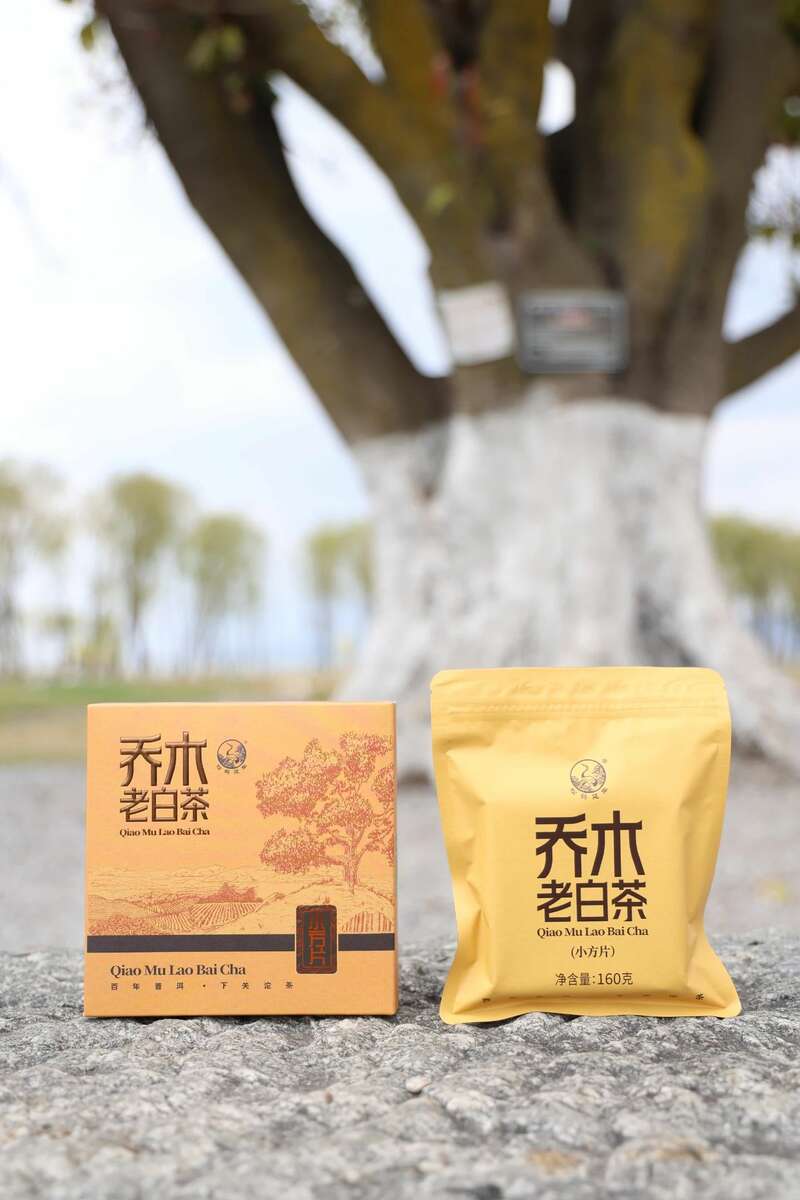 春日惬意时光 小方片白茶越陈越醇 下关乔木老白茶 白茶小方片,春日小甜甜
