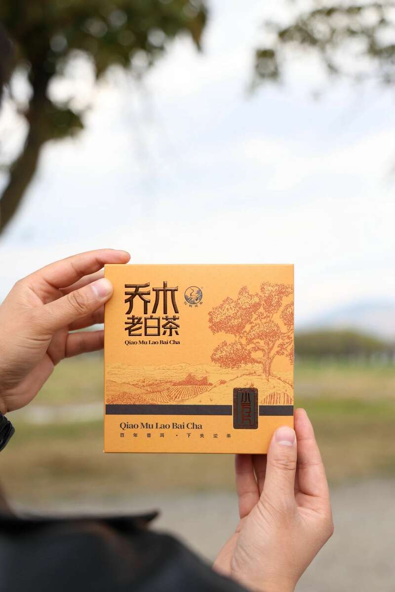 春日惬意时光 小方片白茶越陈越醇 下关乔木老白茶 白茶小方片,春日小甜甜