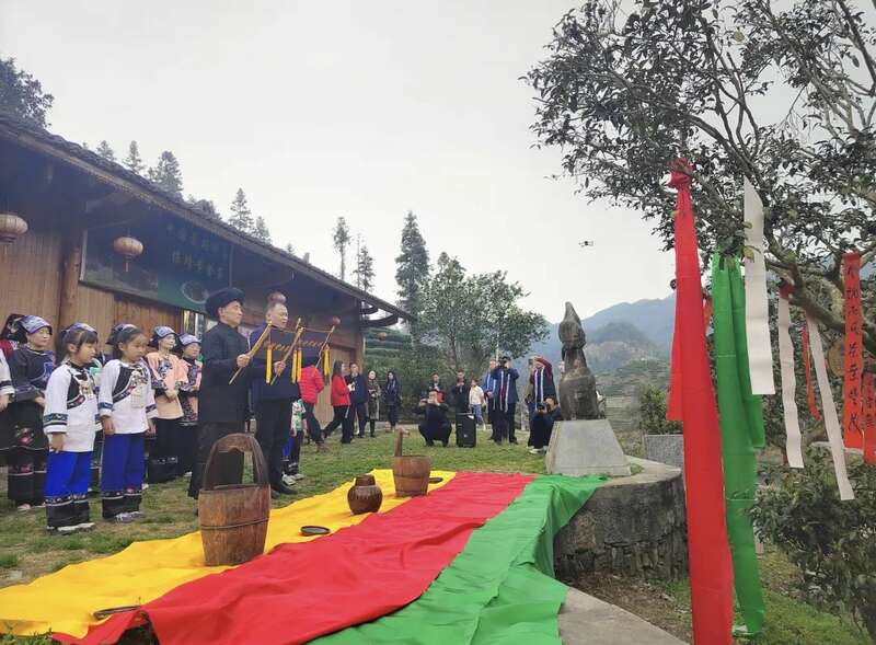 湘西保靖黄金茶开采季启动 共探茶文化传承与产业振兴 湖南最早茶园开采啦!