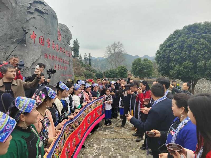 湘西保靖黄金茶开采季启动 共探茶文化传承与产业振兴 湖南最早茶园开采啦!