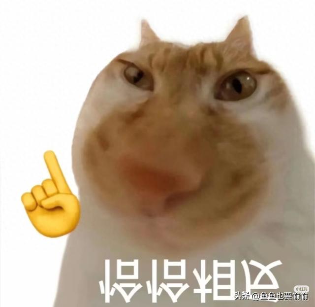 500元以内紫砂壶材质真相解析:真泥不等于好壶 500元以内紫砂壶材质真相解析:真泥不等于好壶