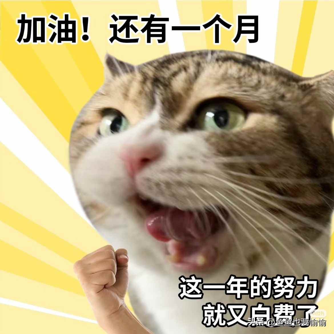 荒唐！每月频繁买茶杯，只因买"幻想中的自己"