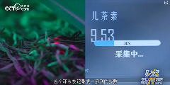 精制茶制造被工信部等七部门联合印发方案提及，其未来将如何发展？