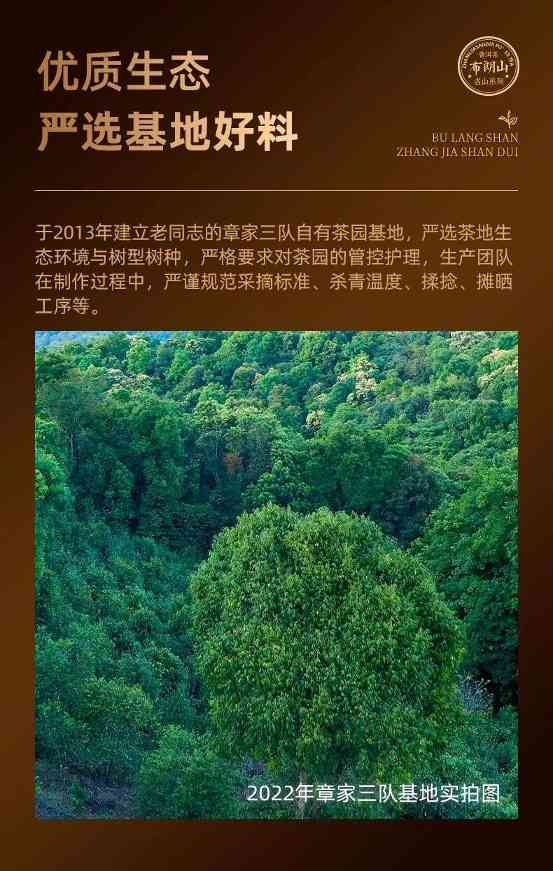名山纯料熟茶风味解析:独特层次与稀缺品质 稀罕的“小班章”熟茶,寻味进阶之选