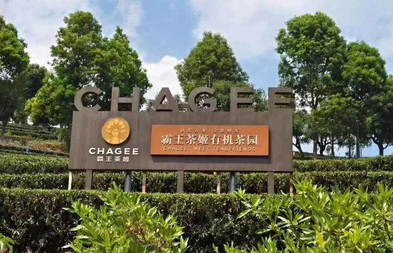 新式茶饮产业技术创新助推绿色健康可持续发展 院士团队说新式茶饮产业技术发展现状与创新研究趋势