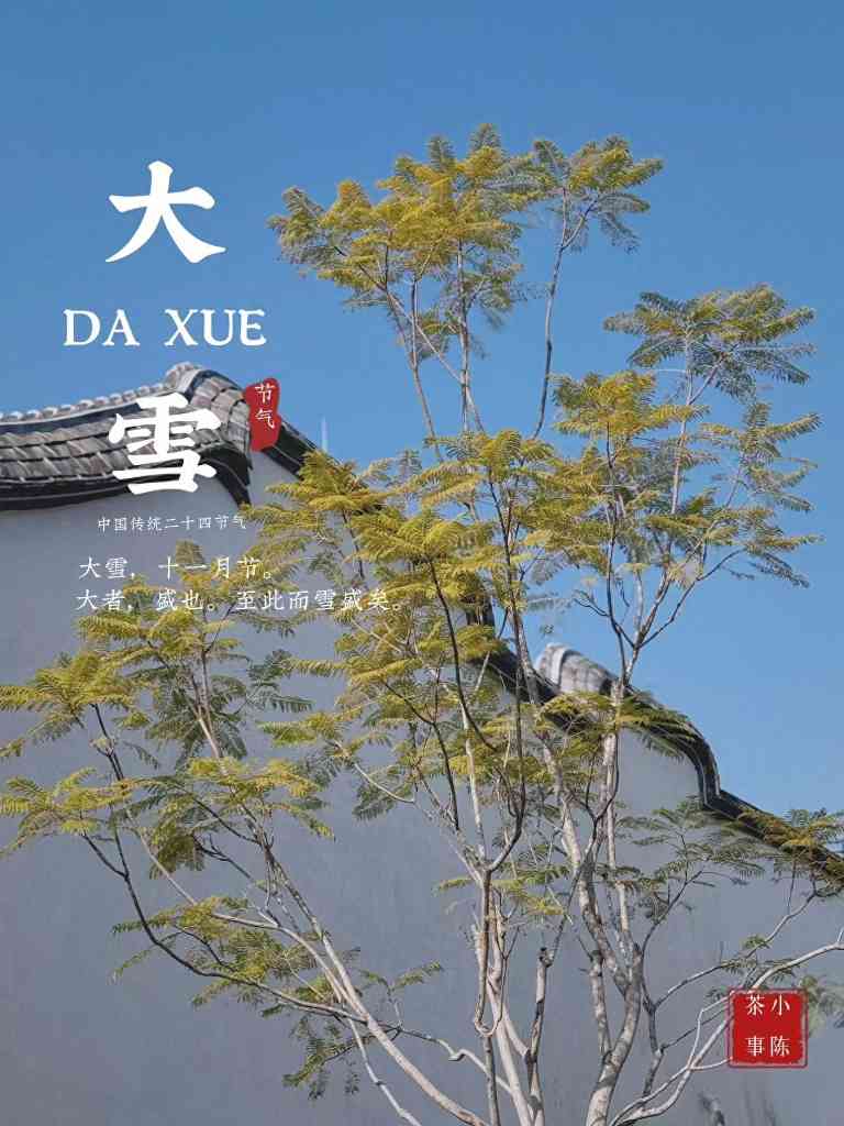 四种劣质岩茶特征揭秘：别再踩坑了