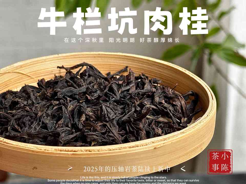 四种劣质岩茶特征揭秘：别再踩坑了