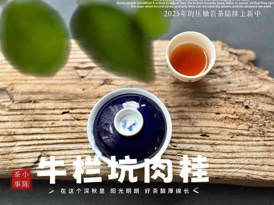 四种劣质岩茶特征揭秘：别再踩坑了