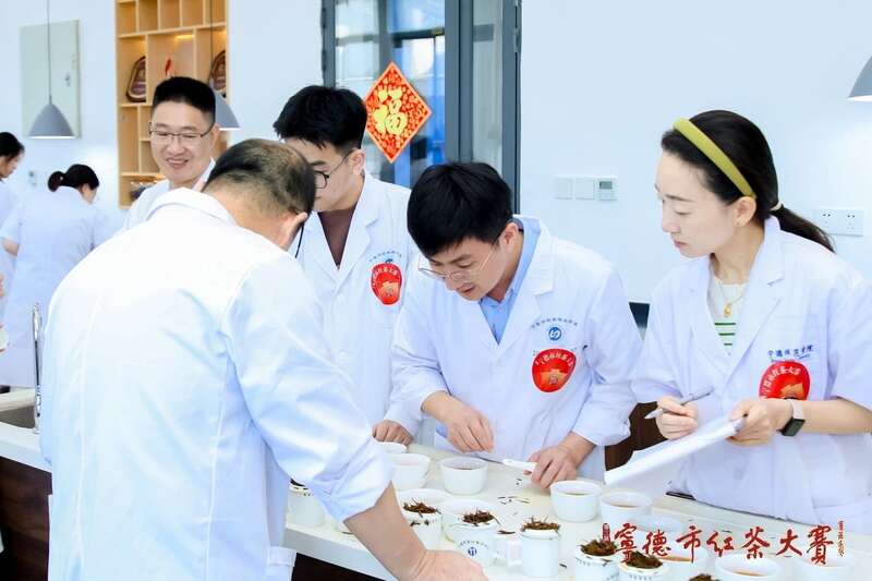 宁德红茶大赛见证中国红茶品质跃升与产业创新 在红茶主产区,赛出红茶行业新高度