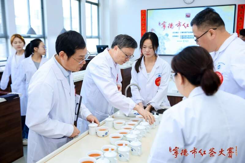 宁德红茶大赛见证中国红茶品质跃升与产业创新 在红茶主产区,赛出红茶行业新高度