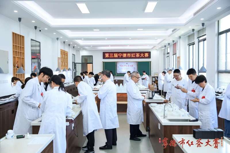 宁德红茶大赛见证中国红茶品质跃升与产业创新 在红茶主产区,赛出红茶行业新高度