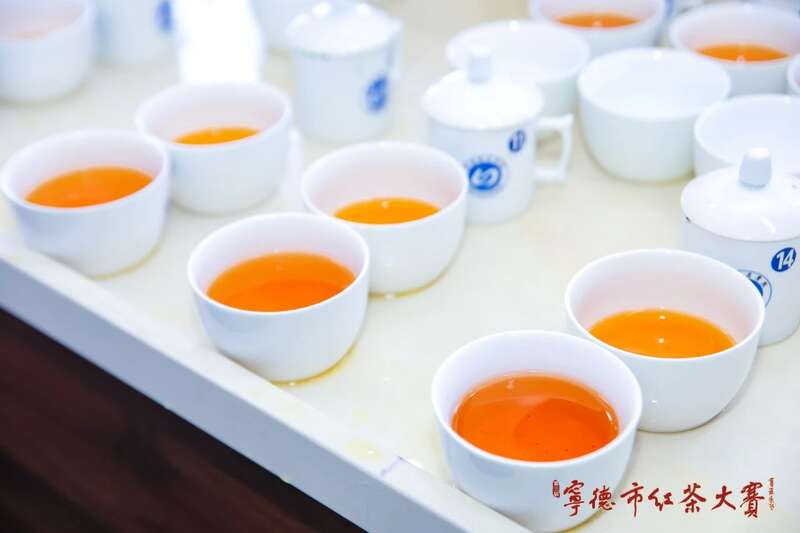 宁德红茶大赛见证中国红茶品质跃升与产业创新 在红茶主产区,赛出红茶行业新高度