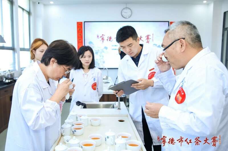 宁德红茶大赛见证中国红茶品质跃升与产业创新 在红茶主产区,赛出红茶行业新高度