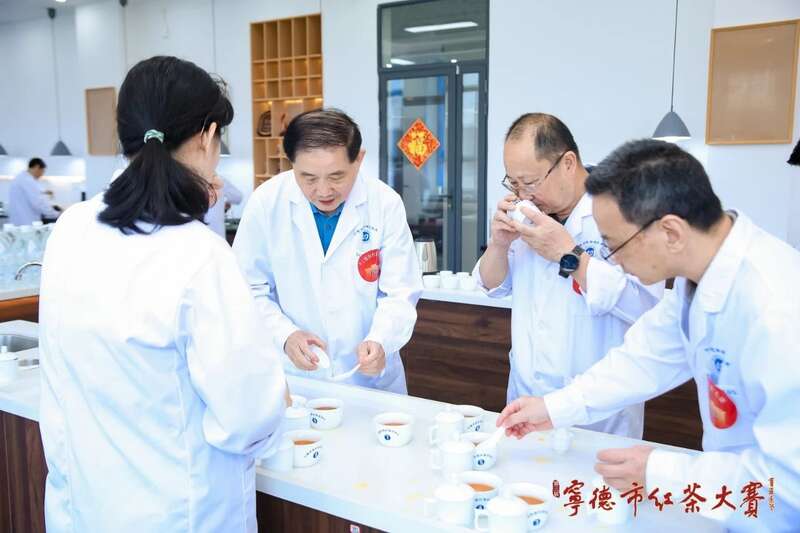 宁德红茶大赛见证中国红茶品质跃升与产业创新 在红茶主产区,赛出红茶行业新高度
