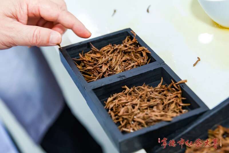 宁德红茶大赛见证中国红茶品质跃升与产业创新 在红茶主产区,赛出红茶行业新高度