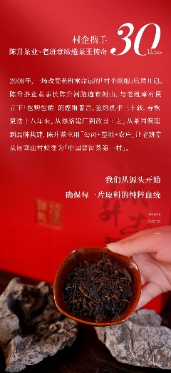 老班章古茶树:北纬21°的茶中贵族传奇 茶王厚韵·旷世奇珍 陈升号2025年“陈升老班章熟茶”面市