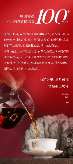老班章古茶树:北纬21°的茶中贵族传奇 茶王厚韵·旷世奇珍 陈升号2025年“陈升老班章熟茶”面市