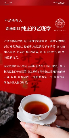 老班章古茶树:北纬21°的茶中贵族传奇 茶王厚韵·旷世奇珍 陈升号2025年“陈升老班章熟茶”面市