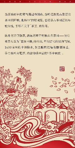 老班章古茶树:北纬21°的茶中贵族传奇 茶王厚韵·旷世奇珍 陈升号2025年“陈升老班章熟茶”面市