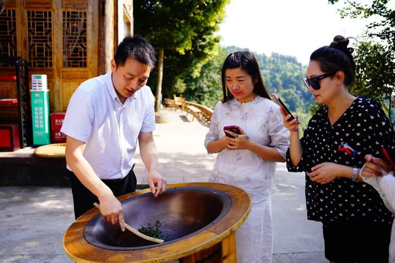 非遗茶旅体验启幕,茶酒文化交流共探匠心传承 蒙顶山茶香对话泸州老窖匠心:一场穿越千年的非遗共鸣