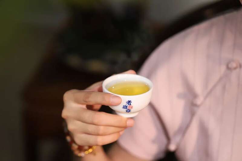 润元昌名山古树茶系列上线 真老班章等足值茶品 润元昌名山早春系列:好东西,总是姗姗而来