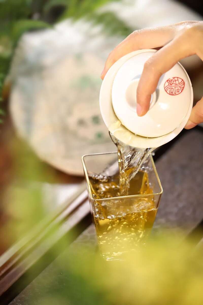 润元昌名山古树茶系列上线 真老班章等足值茶品 润元昌名山早春系列:好东西,总是姗姗而来