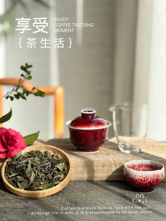 老白茶自然陈化与做旧茶的感官对比 老白茶自然陈化与做旧茶的感官对比