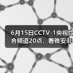 6月15日CCTV-1央视综合频道20点,看雅安非遗!(图2) 6月15日CCTV-1央视综合频道20点,看雅安非遗!(图2)