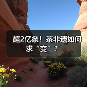 超2亿条！茶非遗如何求“变”？（图4）