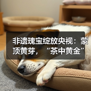 非遗瑰宝绽放央视：蒙顶黄芽，“茶中黄金”香飘全国（图2）