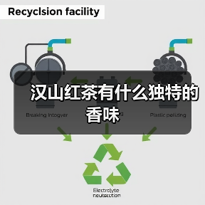 汉山红茶有什么独特的香味(图3) 汉山红茶有什么独特的香味(图3)