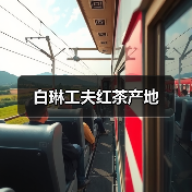 白琳工夫红茶产地(图3) 白琳工夫红茶产地(图3)