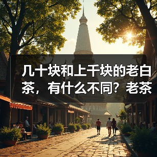 几十块和上千块的老白茶,有什么不同?老茶客:3点区别太明显(图3) 几十块和上千块的老白茶,有什么不同?老茶客:3点区别太明显(图3)
